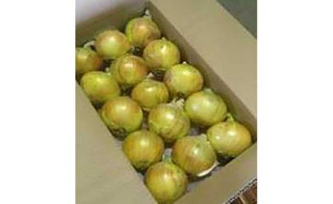 【新玉予約】淡路島の農家の嫁から直送「完熟新玉ねぎ 早生 ５㎏」◆配送4月末～