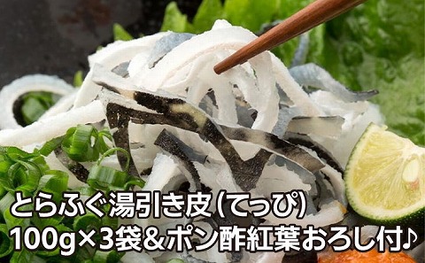 【若男水産】淡路島産 とらふぐ 湯引き皮 (てっぴ)袋入り100g×3、ポン酢紅葉おろし付