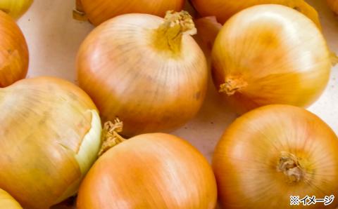 やみつき玉ねぎの淡路牛100％チーズINハンバーグ150ｇ×10個（冷凍）