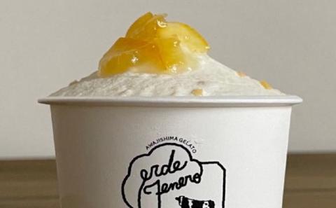 淡路島ジェラート12個セット