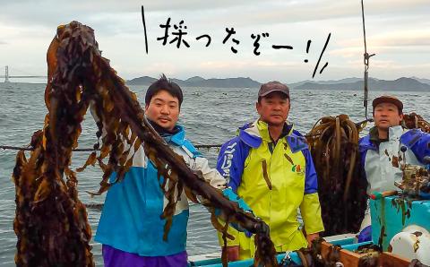 【中尾満男水産】【漁師直送】湯通し塩蔵わかめ300ｇ×10袋【淡路島鳴門海峡原産】