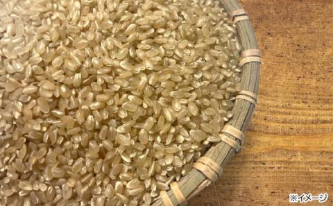 令和７年度産 新米 淡路島産「橙心(きぬひかり)」　玄米5kg　◆配送9月下旬～