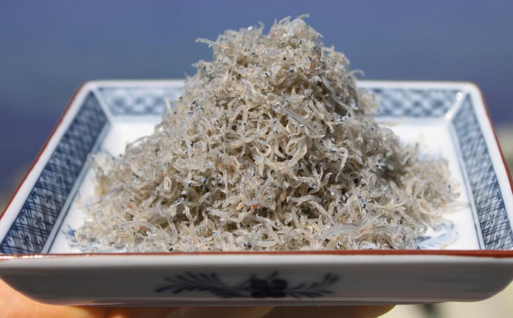 【ギフト用】豊洲市場御用達！淡路島のちりめんじゃこ　３箱セット