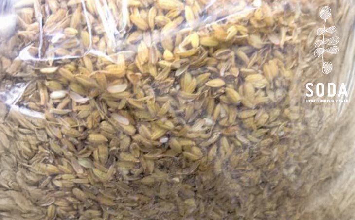 自然乾燥のお米のもみ殻（700ｇ×5袋）