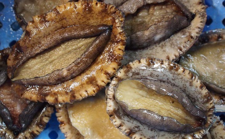 【花光】淡路島産天然アワビ（赤）大サイズ1個