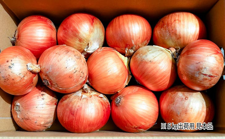 完熟乾燥玉ねぎ〈中生〉3ｋｇ◆配送6月上旬～