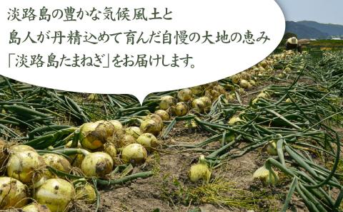 【淡路島の青果屋】淡路島産たまねぎ　5kg 甘さに自信!!ほんまもん!!