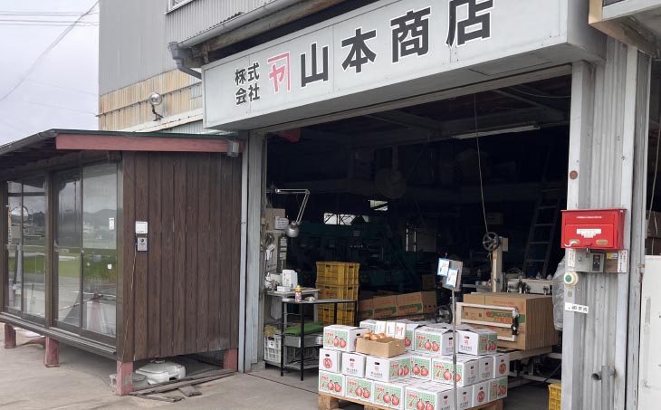 【オニオン魂】 淡路島新たまねぎ　10kg　◆配送３月上旬～