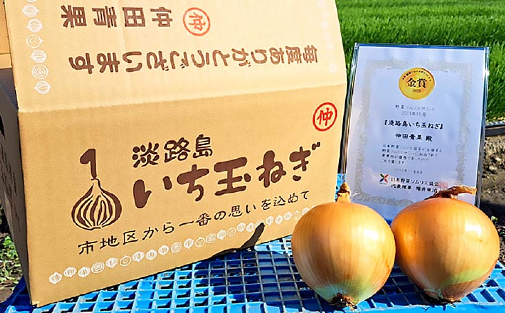 【野菜ソムリエサミット金賞】淡路島玉ねぎ10kg【仲田青果の淡路島いち玉ねぎ】◆配送６月中旬～翌年２月下旬