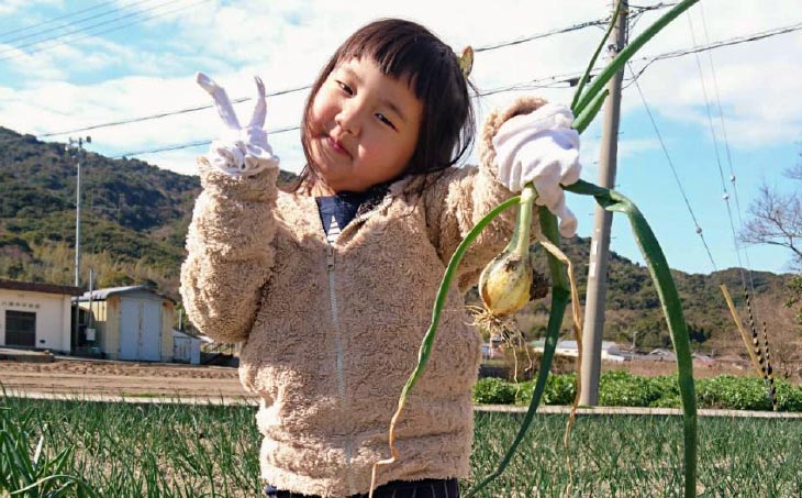中山さんちから直送　淡路島たまねぎ５㎏