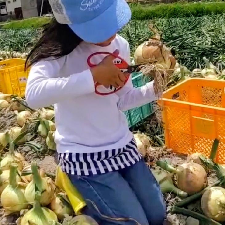 ＼新玉予約／中山さんちから直送　淡路島たまねぎ10㎏◆R8.3月下旬～発送