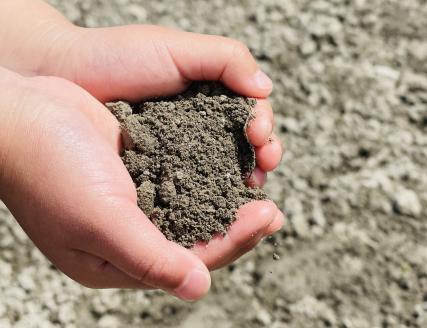 淡路島スイートオニオン　淡路島産新玉ねぎ　10kg　◆配送４月上旬-6月下旬頃