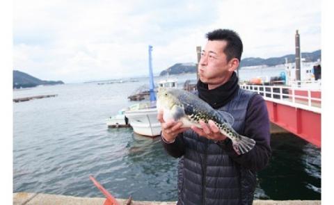 【淡路島3年とらふぐ】梅　ふぐ鍋セット（5～6人前）