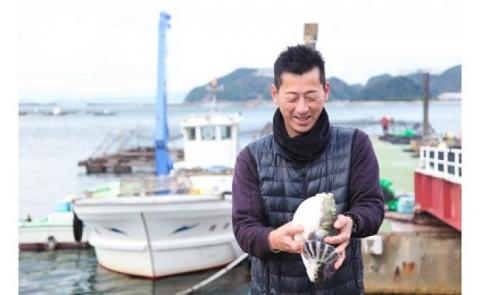【淡路島3年とらふぐ】梅　ふぐ鍋セット（3～4人前）