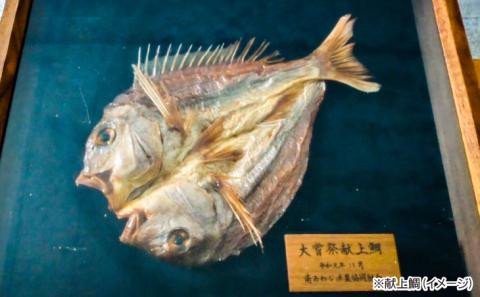 【中尾満男水産】【漁師直送】天然鳴門鯛 西京味噌漬け 1切×5個《淡路島鳴門海峡産》