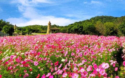 コアラのいる農業公園　淡路ファームパーク　イングランドの丘　入場券＆飲食利用券（大人１名用）