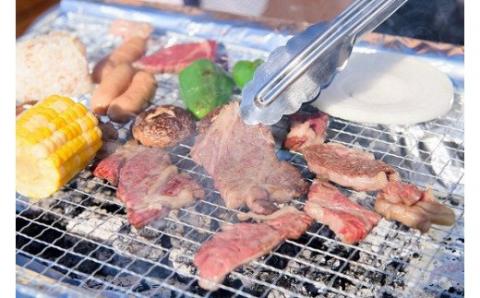 淡路島ホテル・ロッジGREENCOZYで使えるクーポンです。 淡路島ホテル・ロッジGREENCOZY【施設ご利用クーポン】5000P