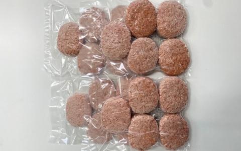 定期便「12ヶ月」淡路島玉ねぎ入れすぎハンバーグ 3kg（150ｇ×20個）冷凍