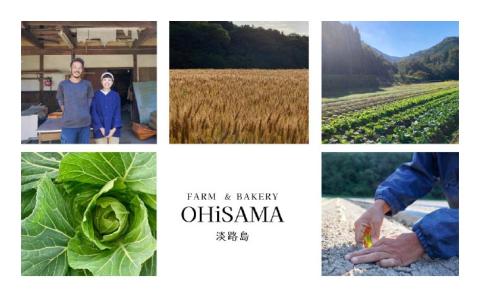 令和7年産　イセヒカリ　10kg（5kg×2）　白米〈栽培期間中農薬不使用　あいがも農法米〉