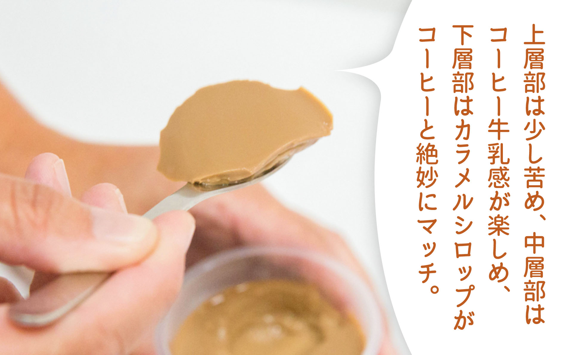 ヨーグルト、焼プリンの詰合せCセット