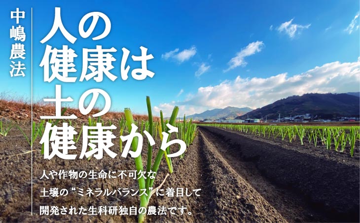 原田兄弟の一番玉ねぎ 10kg