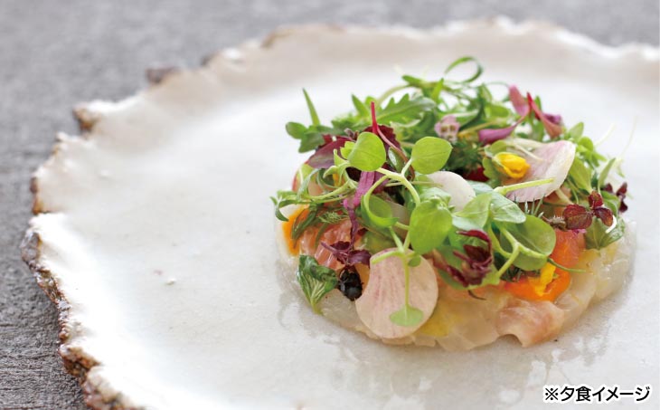 【ホテルアナガ】愛犬と過ごす ドギーヴィラ ラグジュアリーツインルーム