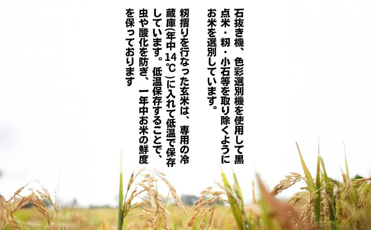 令和7年産新米　淡路島産こしひかり　玄米5㎏