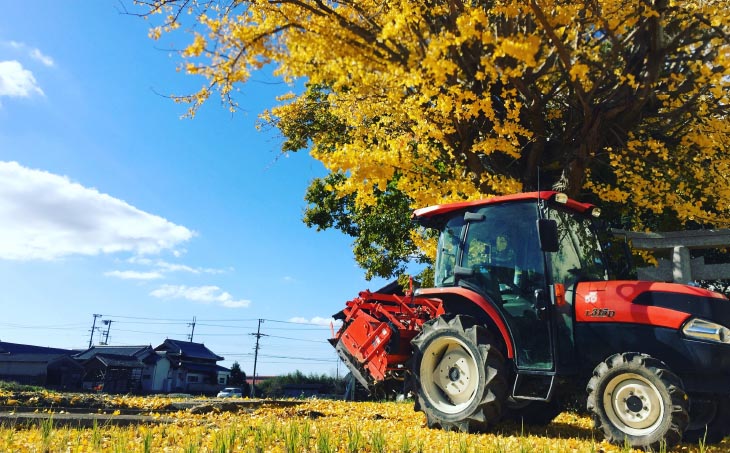 【オニオン魂】 淡路島たまねぎ　5kg　◆配送６月上旬～翌年２月末