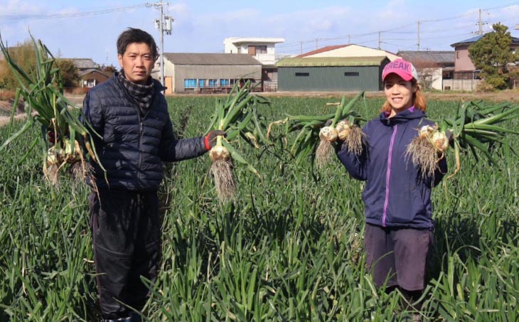 中山さんちから直送　淡路島たまねぎ10㎏