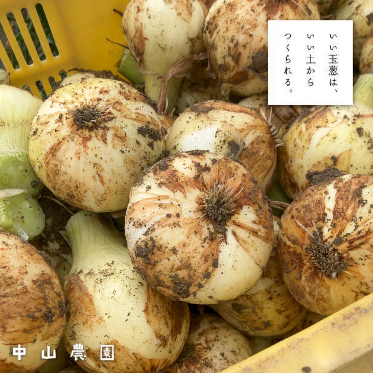 ＼新玉予約／中山さんちから直送　淡路島たまねぎ10㎏◆R8.3月下旬～発送