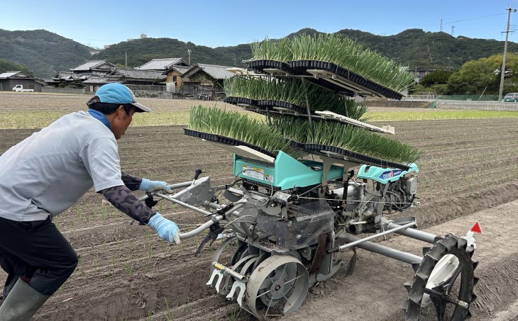 【新玉予約】【じょまはん農園】トロっと甘い！！淡路島産新玉ねぎ5㎏
