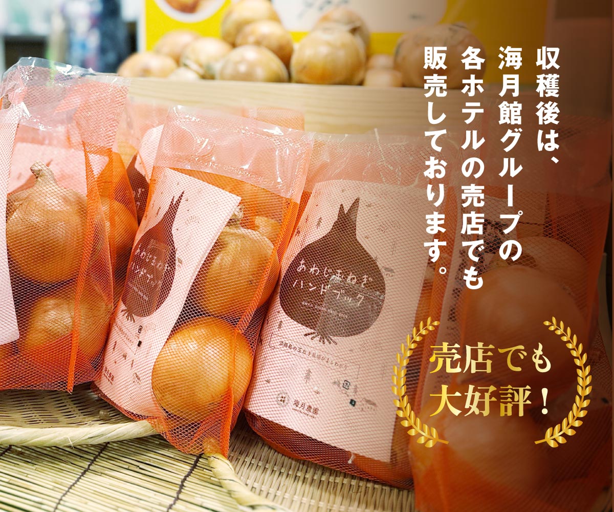海月館 自社農場栽培！淡路島産 玉ねぎ 10kg