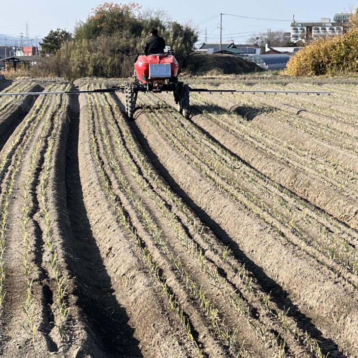 【淡路島玉ねぎ・サイズ混合】三世代で紡ぐ味淡路島の玉ねぎ 5Kg◆配送6月上旬～8月中旬