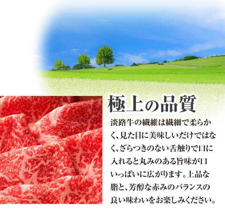 淡路牛　すき焼き用肩ロース　500g