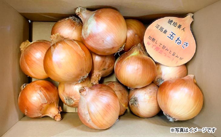 淡路島極熟玉葱6kg　シャーロットオニオン　玉ねぎ大国淡路島からの玉ねぎ