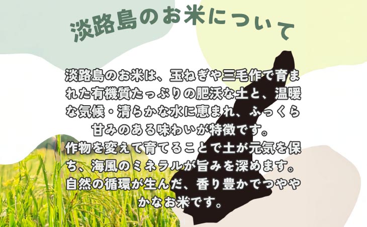 令和7年産新米　淡路島産こしひかり　白米5㎏