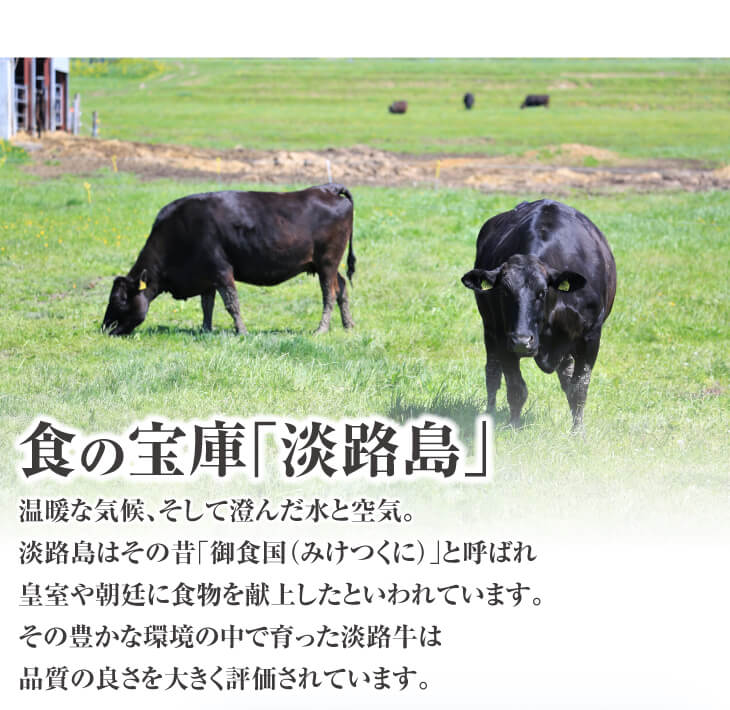 淡路牛切り落とし　１kg