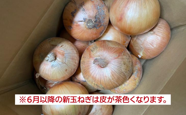 新玉ねぎ シャーロットオニオン 3kg　◆配送 7月上旬～9月末