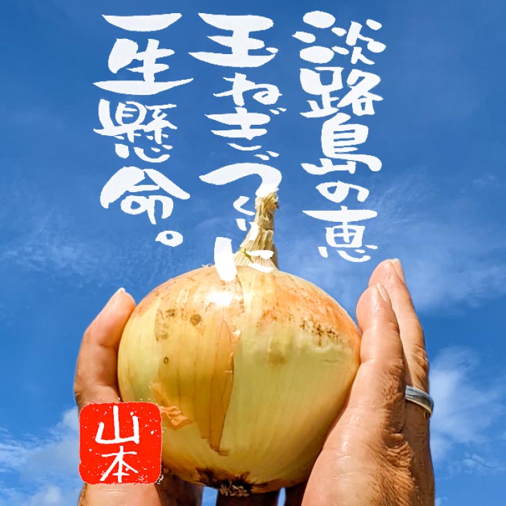 淡路島 「新玉ねぎ」3キロ　期間限定！