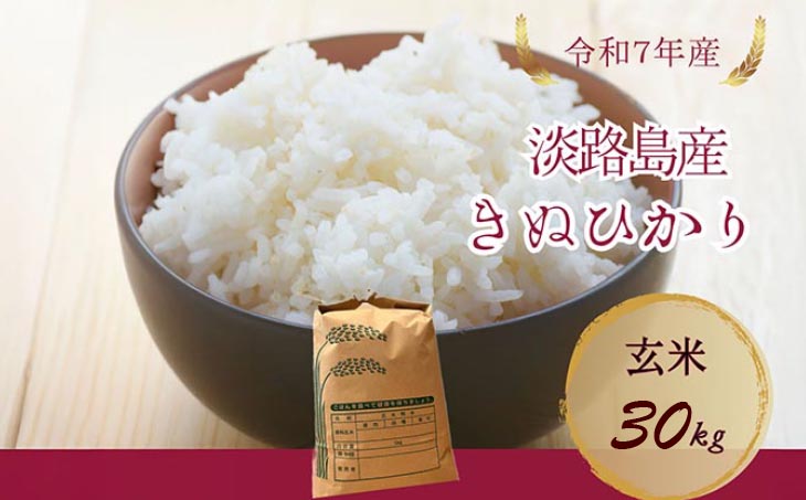 令和7年産新米　淡路島産キヌヒカリ　玄米30㎏