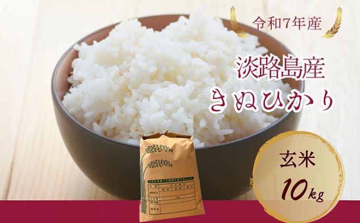 令和7年産新米　淡路島産キヌヒカリ　玄米10㎏