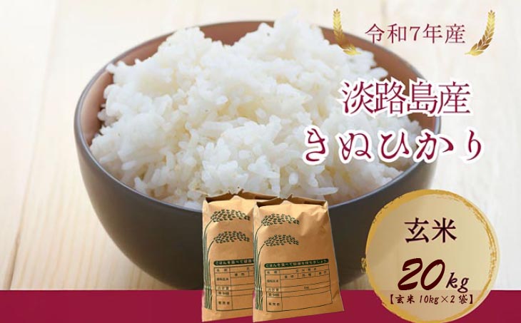 令和7年産新米　淡路島産キヌヒカリ　玄米20㎏