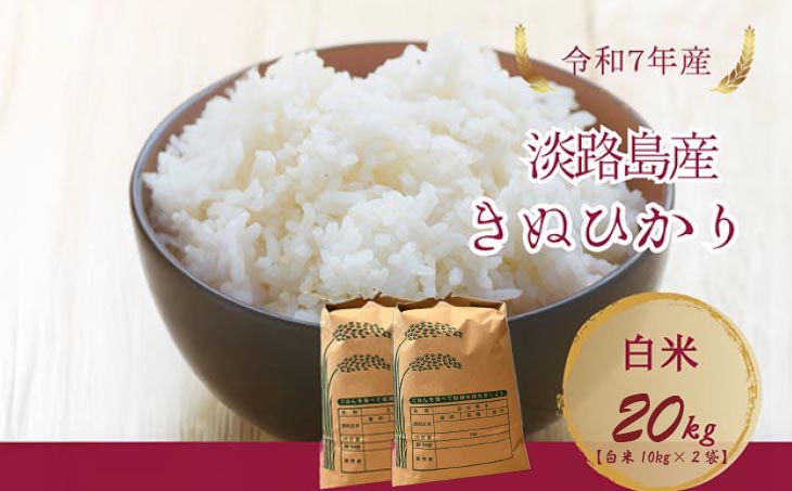 令和7年産新米　淡路島産キヌヒカリ　白米20㎏