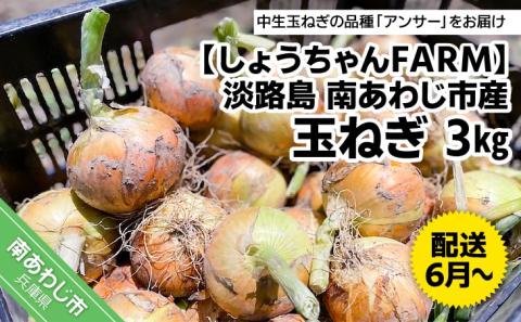【しょうちゃんFARM】淡路島　南あわじ市産玉ねぎ3kg　◆配送6月～
