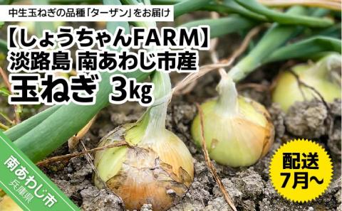 【しょうちゃんFARM】淡路島　南あわじ市産玉ねぎ3kg　◆配送7月～