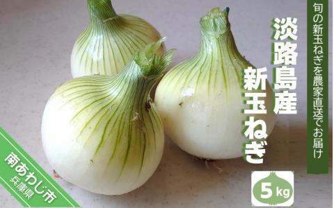 【前田青果】淡路島産　新玉ねぎ5kg  ◆配送４月末頃～
