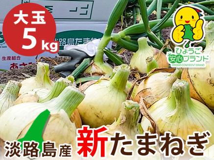 【大玉５㎏】兵庫県認証★特別栽培★淡路島新たまねぎ