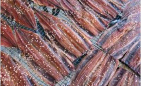 さんまみりん干し16枚　当店ひもの売上1位！自家製で雑誌・テレビ放映の品