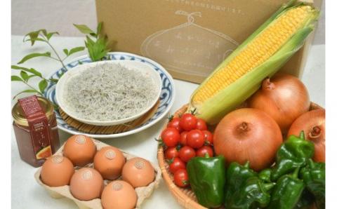 【定期便】「島のめぐみ」セット～南あわじ旬の食材～【6回コース】