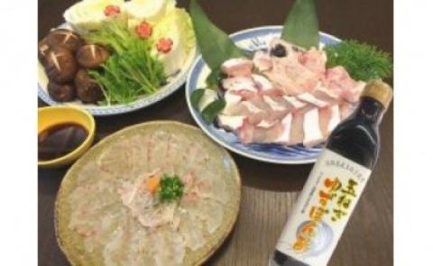 28)クエ切身・刺身セット　ポン酢付き　プリプリ旨味たっぷり！極上のくえ、鍋用500g（3～4人前）と刺身150gのセット♪淡路島玉ねぎポン酢付き！